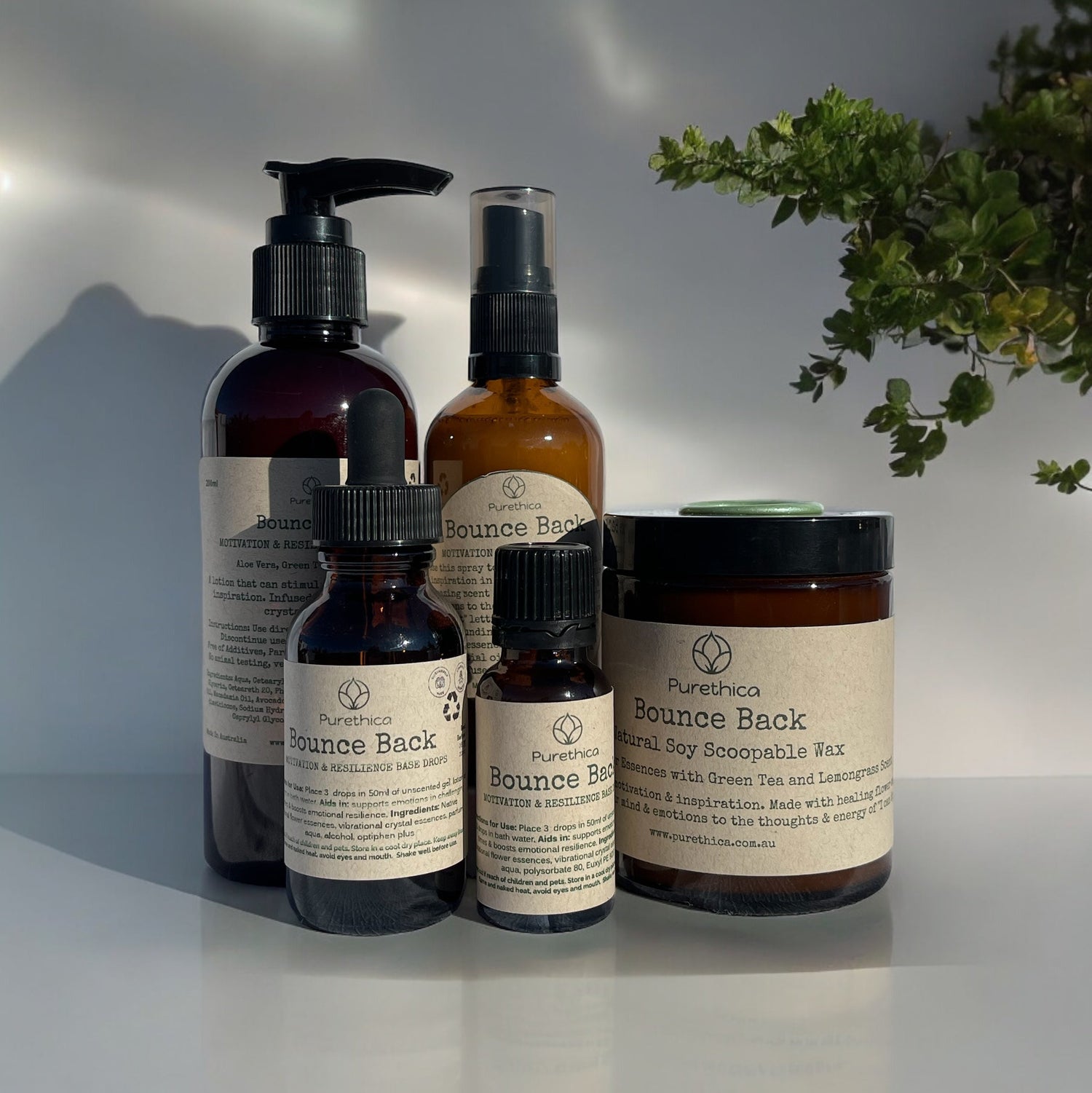 Bounce Back Collection