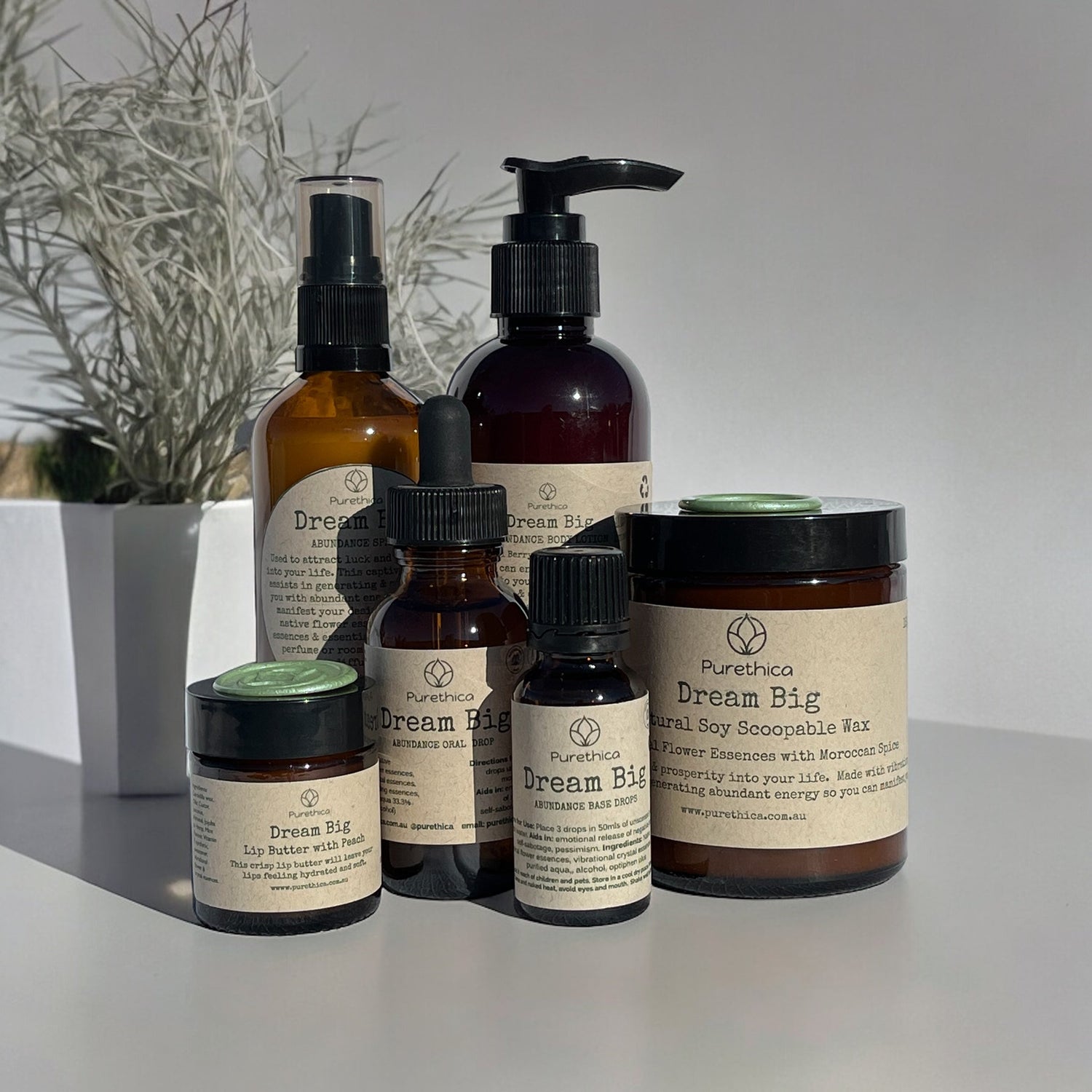 Dream Big Collection