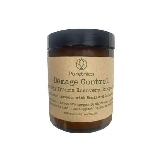 Damage Control Scoopable Wax Melts 150g