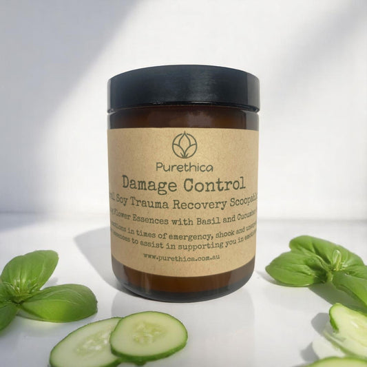 Damage Control Scoopable Wax Melts 150g